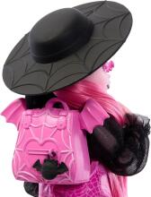 Monster High Draculaura Doll with Count Fabulous & Accessories