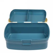 Lunch box with tray - Fairies in the Garden, Rex London
