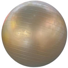Gerardo's Toys Fitness pall