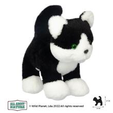 Wild Planet pehme mänguasi, kassipoeg 25 cm