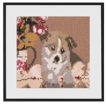 Teemanditikand Corgi 20 x 20 cm