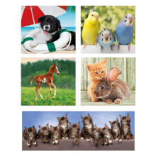 Clementoni pusle 10in1 Animal Friends