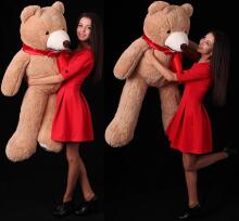 Teddy Bear Plush Toys Art.222073