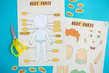 Tutufamily Body  Art.223055  Cilvēka ķermenis darba lapas