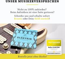 Guitar Strings Premium Electric  Guitar Strings Art.223272 Комплект 6 струн