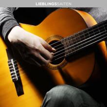 Guitar Strings Classical Guitar Nylon Strings Art.223271 Komplekts 6 stīgas