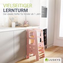 Wooden Learning Tower Art.224032 Pink