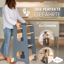 Wooden Learning Tower Art.224044 Grey Деревянный кухонный табурет/ступенька для малышей