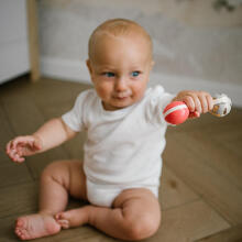 BabyOno Rattle Teething Toy Art.1592 Mūzikalais grabulis