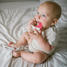 BabyOno Rattle Teething Toy Art.1593 Musical rattle