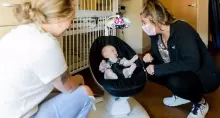 4moms MamaRoo 5.0 Infant Seat Art.227273 Sage электронное детское кресло/умные качели ФоМамс