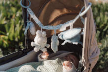 Little Dutch Stroller Toy Chain Lucky Leaves Art.NIJN457