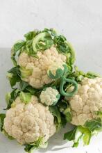 Oil Carol Teether Toy Art.227782 Cauliflower Прорезыватель для зубов  (натуральный каучук)