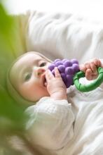 Oil Carol Teether Toy Art.227783 Grape zobgrauznis no naturāla kaučuka