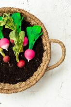 Oil Carol Teether Toy Art.227786 Radish zobgrauznis no naturāla kaučuka