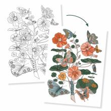 Colouring Gallery - Naturalist