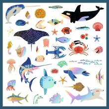 160 stickers - Ocean
