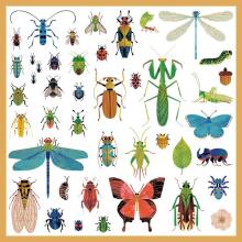 160 stickers - Microcosmos