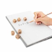 ABC Champions - Wooden Number Dice Educational Game (6 pcs.)