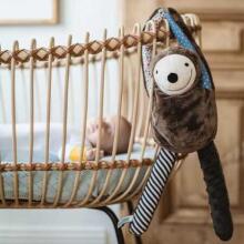 WHISBEAR E-zzy the Sloth with App
