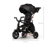 Bebe Basic Nova Gold Art.235558 Black Bērnu  trīsritenis ar rokturi , jumtiņu un piepūšamajiem riteņiem