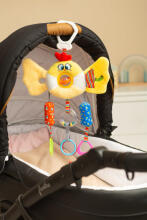 COLORFUL TRAVEL TOY BIRDIE
