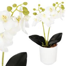 Artificial orchid Springos HA7423