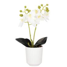 Artificial orchid Springos HA7423