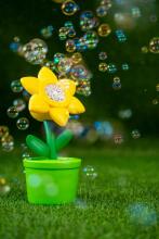 FRU BLU DKF0911 Set flower + liquid 2x40 ml
