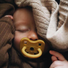 Hevea Natural Rubber Pacifier Anatomical Art.239441 Maya/Thunder Grey  Natural anatomical 3-36 month