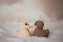 Hevea Kawan Mini Duck Art.239562 Latte Pīle no 100% naturāla (dabas) kaučuka
