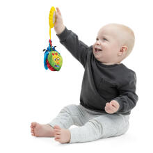 BABY EINSTEIN Touch Of Nature Sensory Toy, 16886