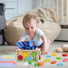 Focenat Montessori Wooden Toy 9-in-1 Art.241410    Деревянный пазл Монтессори
