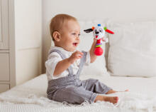 BALIBAZOO BB 82028 Sensory rattle dog