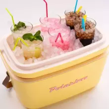 Polarbox Cool Box Retro Cooler Art.244394 Cyan – Baby rose Холодильник для кемпинга 20Л