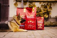 Корм для взрослых собак REGULAR PLUS с рыбой / 3 кг