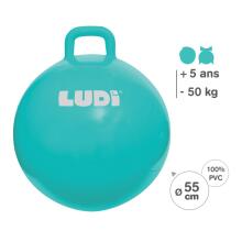 LUDI lēkāšanas bumba, zila 55 cm
