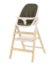Детский стульчик Carrello ERGO CRL-16701 Pine Green