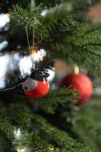 Winteria ornaments Svilpītis 3 gab.