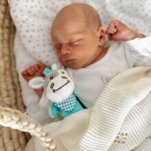 WOOPIE BABY Plīša Sensorā Rotaļlieta Čīkst