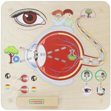 MASTERKIDZ Izglītības padome Redzes sajūta Montessori