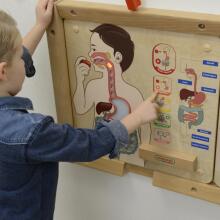 MASTERKIDZ Montessori gremošanas sistēmas izglītības padome
