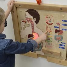 MASTERKIDZ Montessori gremošanas sistēmas izglītības padome