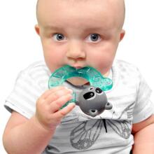 Bbluv Teether  Art.250265 Silikona kožamā rotaļlieta