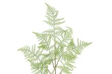 4Living Green leaves spray assortment display