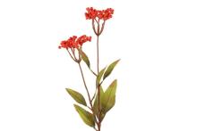 4Living Berry izsmidzināšana oranžā krāsā 75 cm