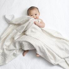 Aden Anais Muslin Swaddles Art.251313 Skylight Высококачественная муслиновая пелёнка из бамбука, 1 шт. (120x120 см)
