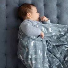 Aden Anais Muslin Swaddles Art.251314 Expedition High quality bamboo muslin swaddle, 1 pc. (120x120 cm)