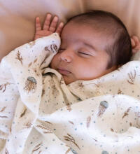Aden Anais Muslin Swaddles Art.251319 Map The Star  High quality bamboo muslin swaddle, 1 pc. (120x120 cm)