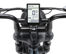 Elektriskais velosipēds APE RYDER 20 A10 pelēks